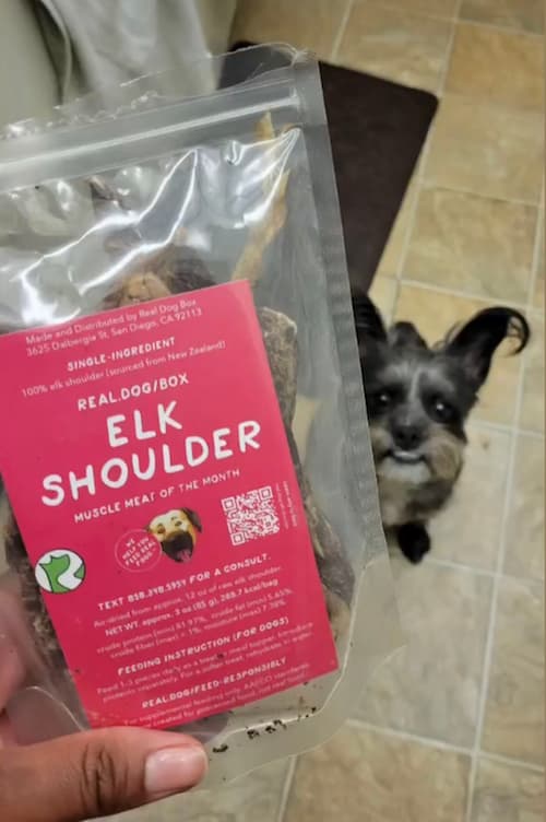 Real Dog New Customer Deals | Exclusive Offers for Your Dog's Delight!