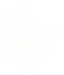 Rotating Image
