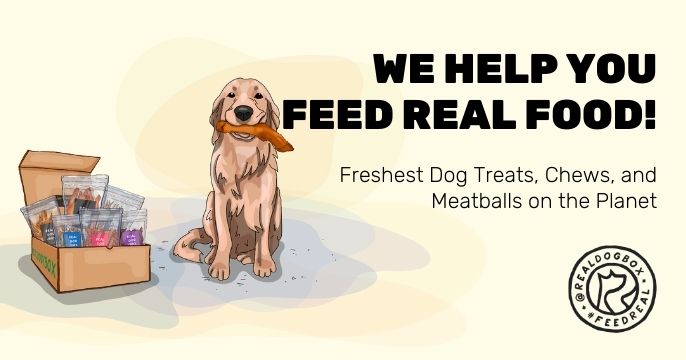 Real Dog: Premium Air-Dried Dog Treats & Chews