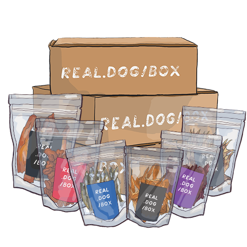 Real store dog box